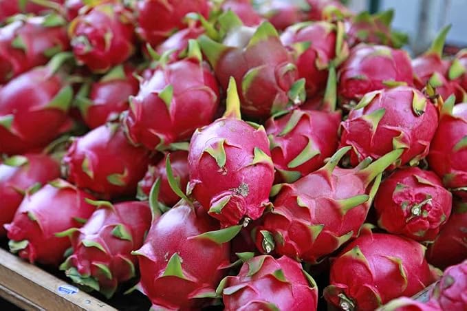 Multi-colored Dragon Fruit Seeds