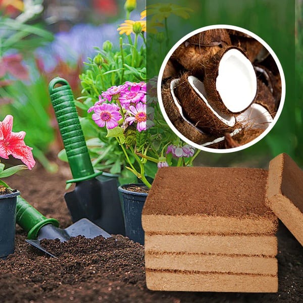 Organic Coconut Coir for Plants Pack of 2