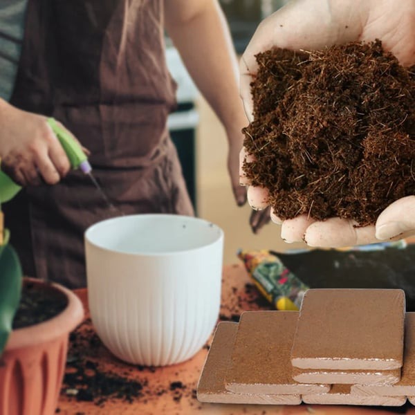 Organic Coconut Coir for Plants Pack of 2