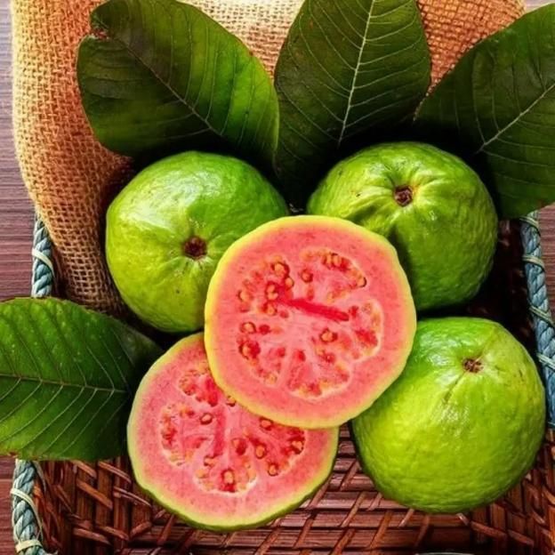 Guava Pink Guava Seeds Pack of 20