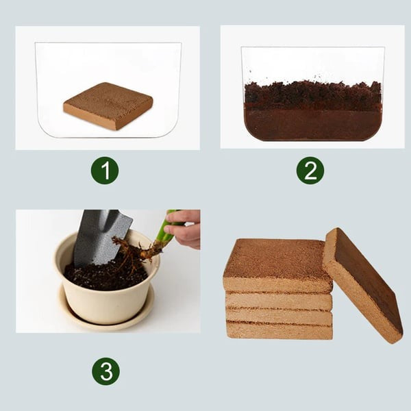 Organic Coconut Coir for Plants Pack of 2