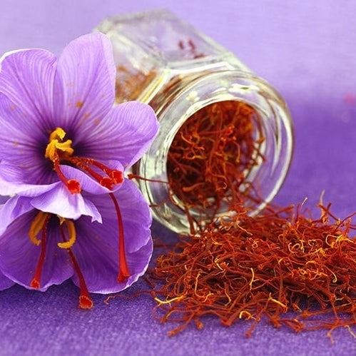Saffron Bulbs (Pack of 1)