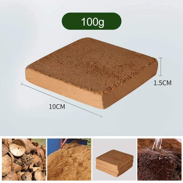 Organic Coconut Coir for Plants Pack of 2