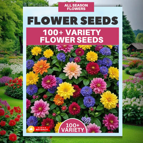 Buy Varieties of Flower Seeds (Pack of 100) And Get Plant Growth Supplement Free