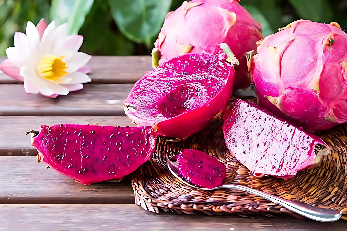 Multi-colored Dragon Fruit Seeds